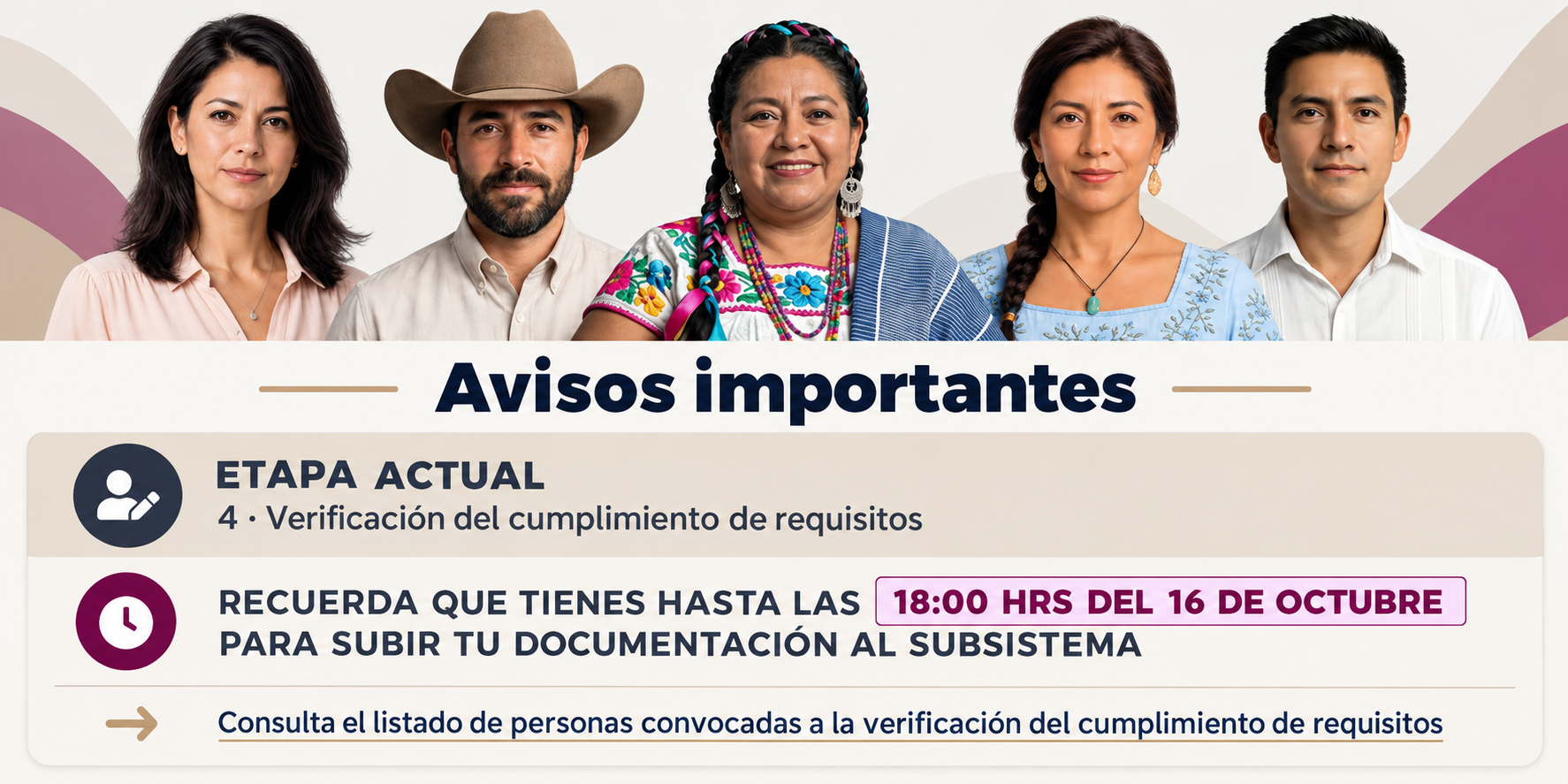 Verificación del cumplimiento de requisitos INE